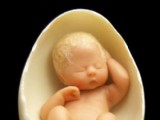 世界上最小的嬰兒