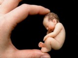 世界上最小的嬰兒