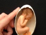 世界上最小的嬰兒