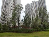 看得見(jiàn)的品質(zhì)生活 贛州云星中央星城小區(qū)實(shí)景一覽
