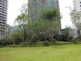 看得見(jiàn)的品質(zhì)生活 贛州云星中央星城小區(qū)實(shí)景一覽