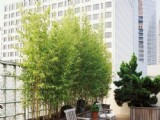 屋頂上的庭院 10個空中花園設計